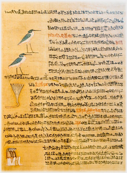 Papyrus of Heiratic script from Cairo Museum.