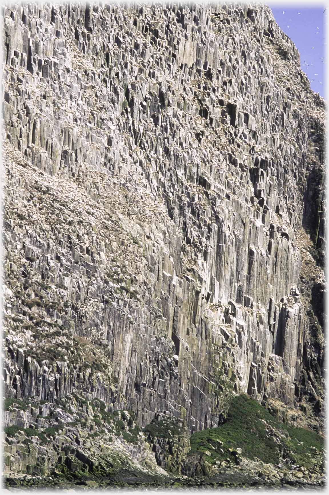 Cliff face of basalt pillers.