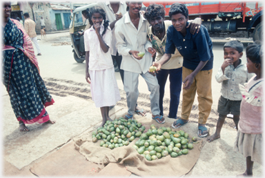 Mangoes for sale from the ground.