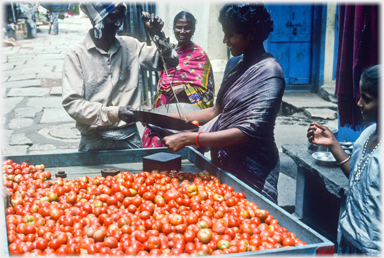 Tomatoes being weighed out.