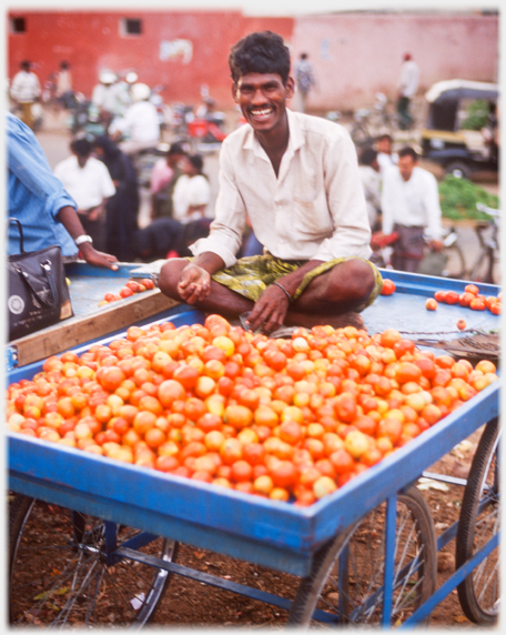 Man sitting on handcart amongst tomatoes.