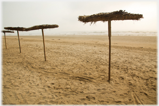 Palm umbrellas on sand