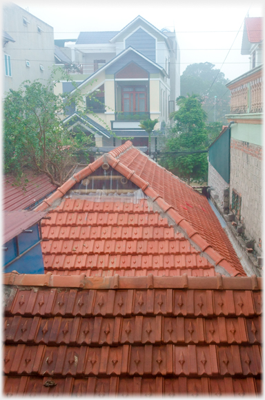 The tiled roof.