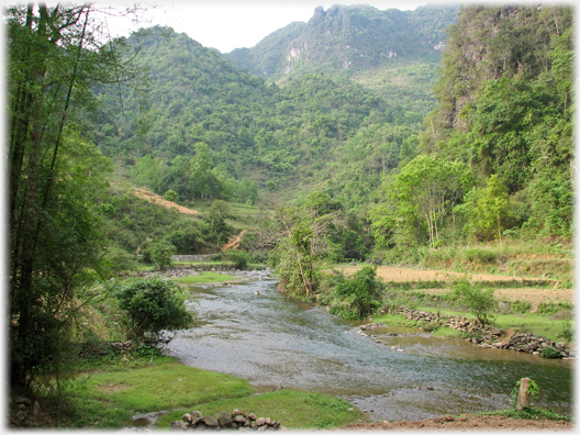 River with jungle covered hillsides and planted fields below.