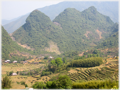 Typical well-clad karsts of Cao Bang.