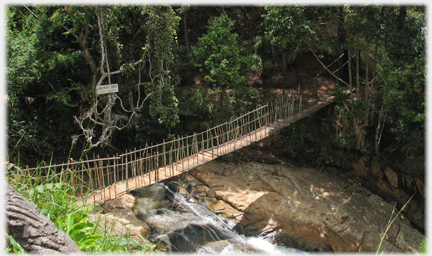 The wooden suspension bridge over the Tiger falls.