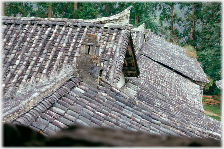 Palace rooftops