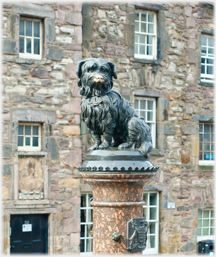 Statue of dog on plinth with buildings behind.