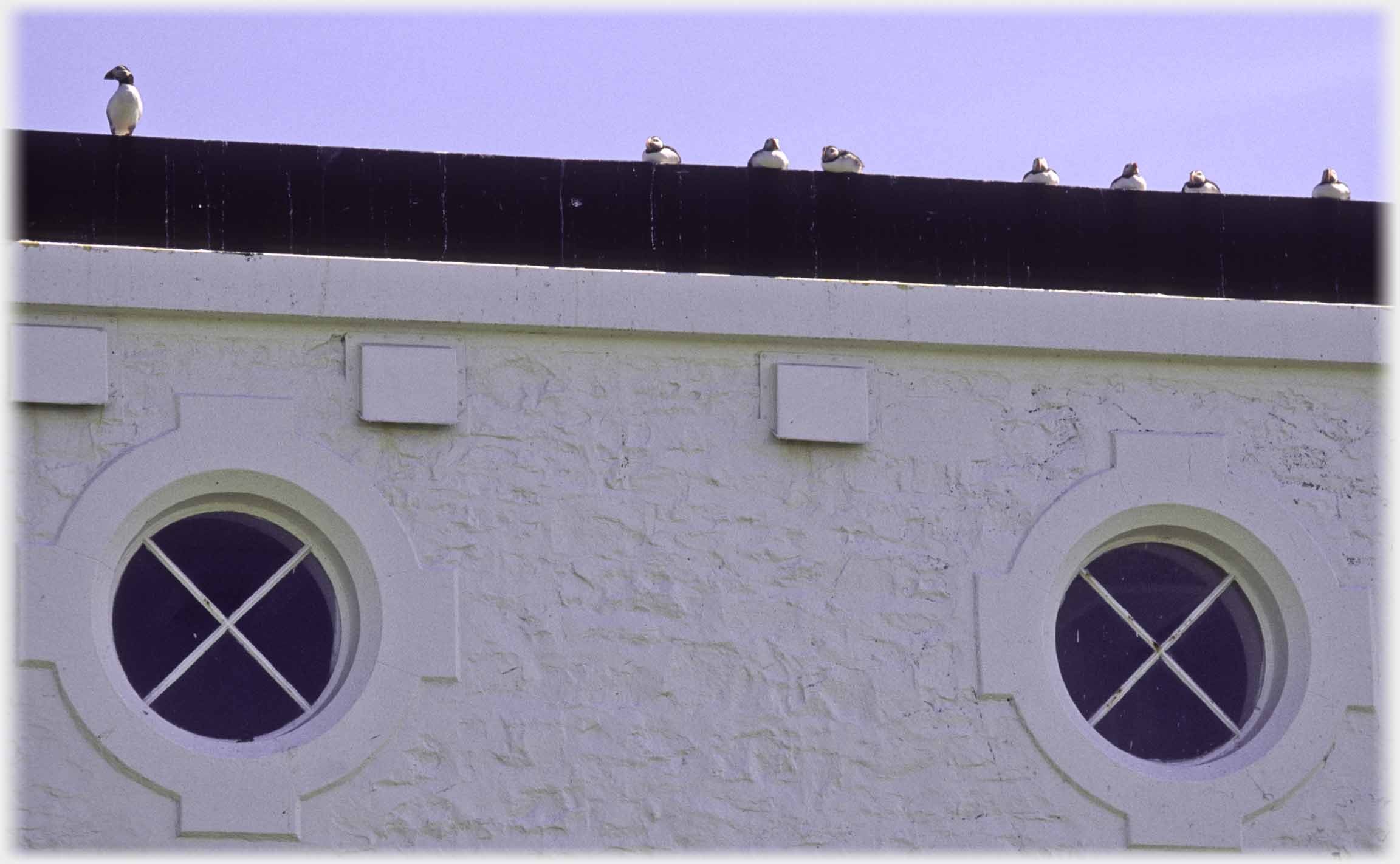 Building with two large round windows and line of puffins along the edge of the roof.