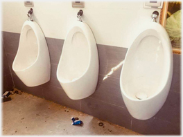 Gents urinals.