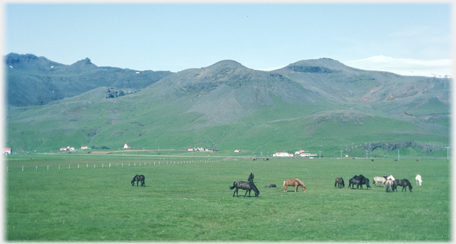 Village and fields with horses.