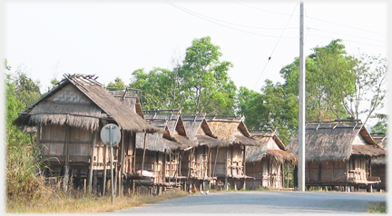 Row of thatched houses with frames over the thatch.