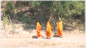 Three monks walking on path the last one pushing a stick up into a tree.