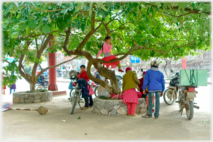 Tree with people sheltering under it.