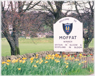 Entrance sign and daffodils.