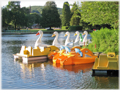Parked swans.