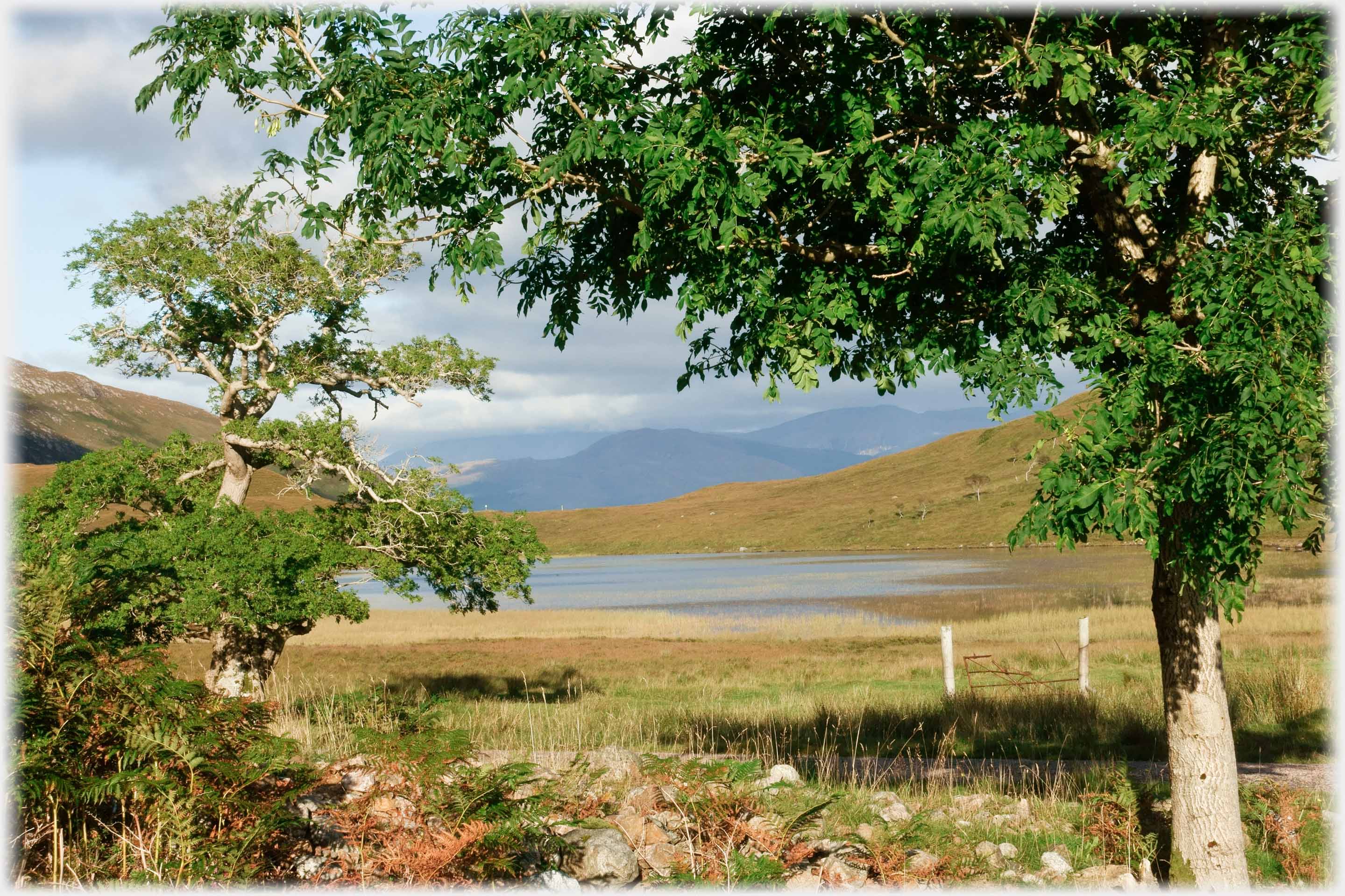 Trees framing loch with hills beyond.
