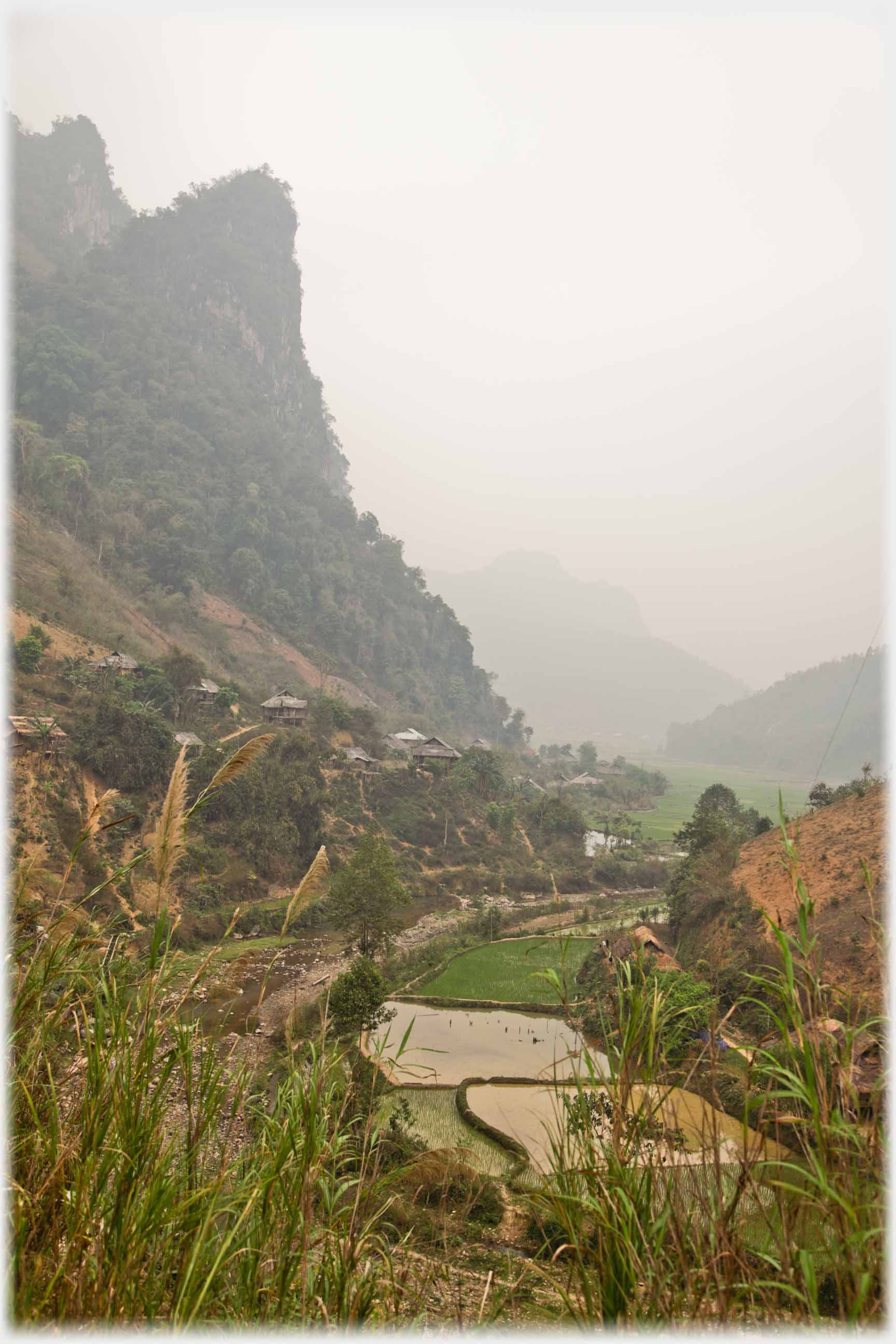Vertical wall of wooded karst above village, paddy fields in valley bottom.