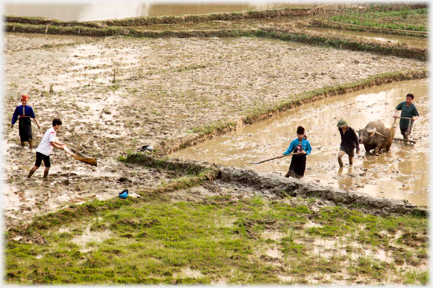 Neighbours working in their mud.