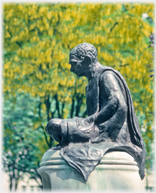 Statue of Gandhi with laburnum behind.