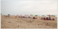 Umbrellas on Tinh Gia beach.