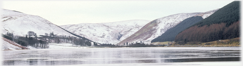 Panarama of the south end of the Loch of the Lowes.