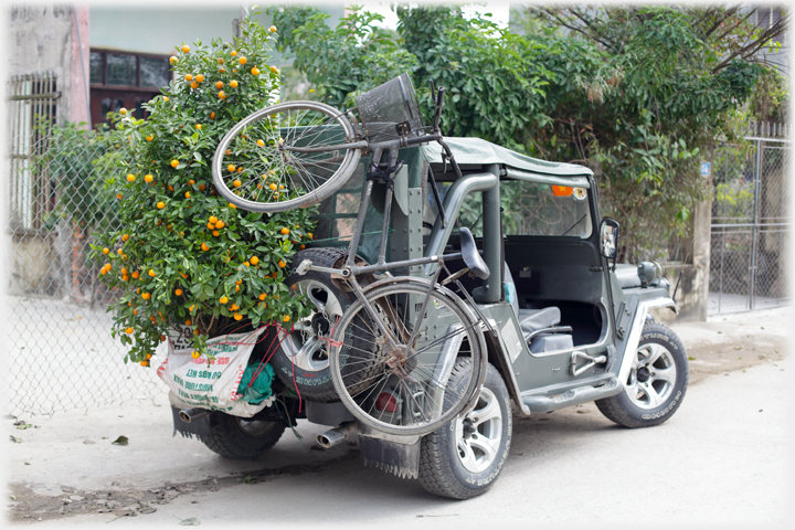 Jeep with kumquat and bicycle strapped on the back.