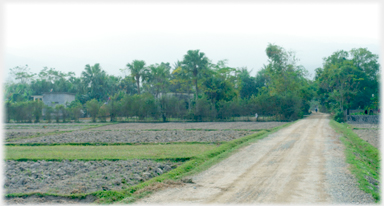 Road at Thanh Cong village.