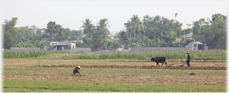 Man ploughing, woman weeding and background trees.