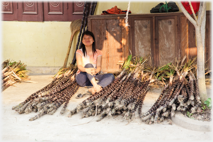 Woman sitting at ground level beside piles of sugar cane.