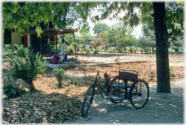 Tricycle and garden.