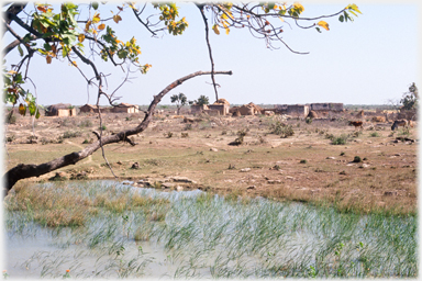 Neighbouring dry village with pond.