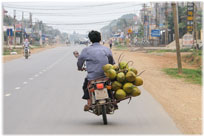 Coconuts