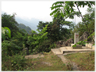 A boundary marker deep in the jungle between China and Vietnam.