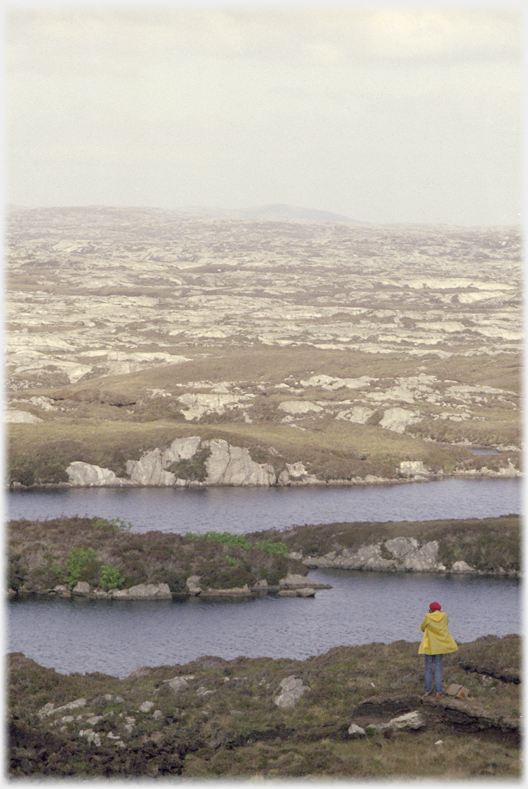 Rock, acrub and water stretching into a mist, person in corner, possibly taking a photograph.