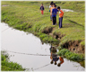 Group of boys fishing at a stream.