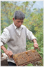 Beekeeper holding frame.