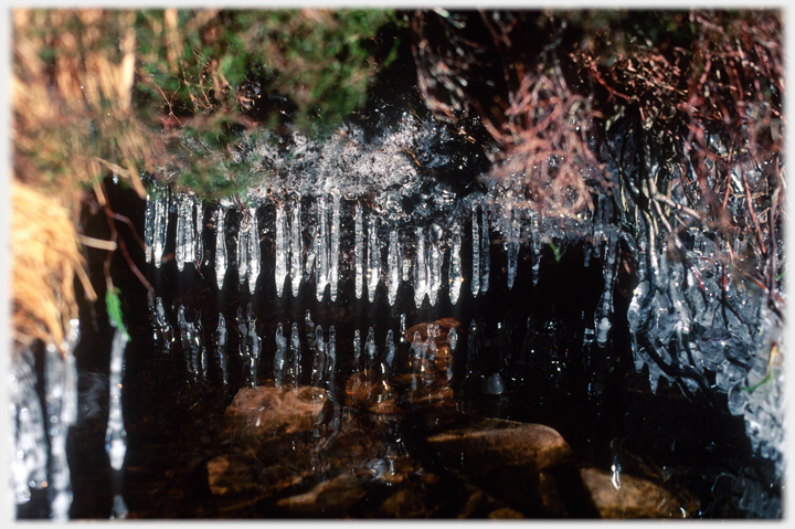 Icicles hanging over water.