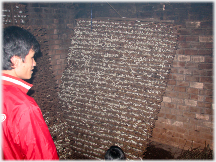 Man Man looking at dark frame with light coloured markings on it.