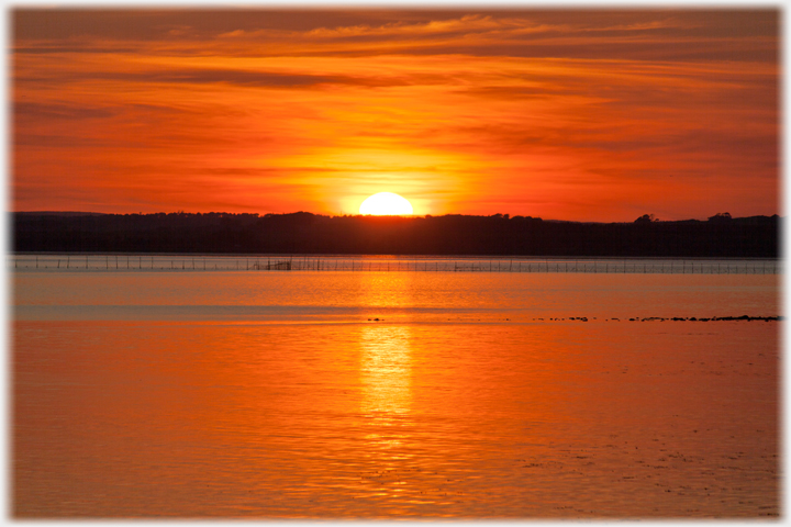 Stake-nets in the sunset at Wigtown Bay.