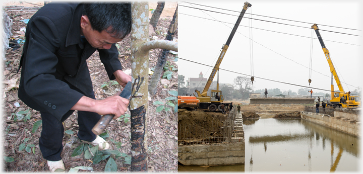 Man cutting tree trunk, and two cranes lowering beam into place.
