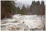 A river raging in spate.