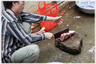 Man cutting large joints of meat with a clever.