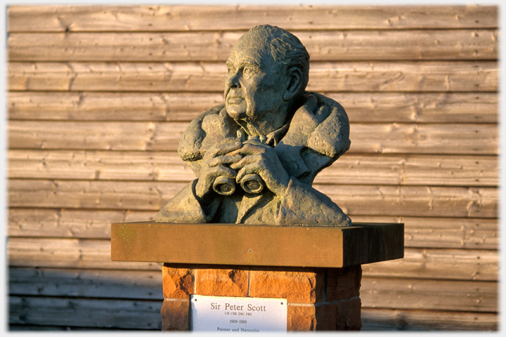 Bust of Peter Scott at the WWT resserve in southern Scotland.