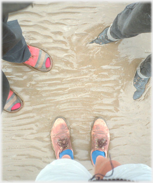 Three sets of footware in mud.