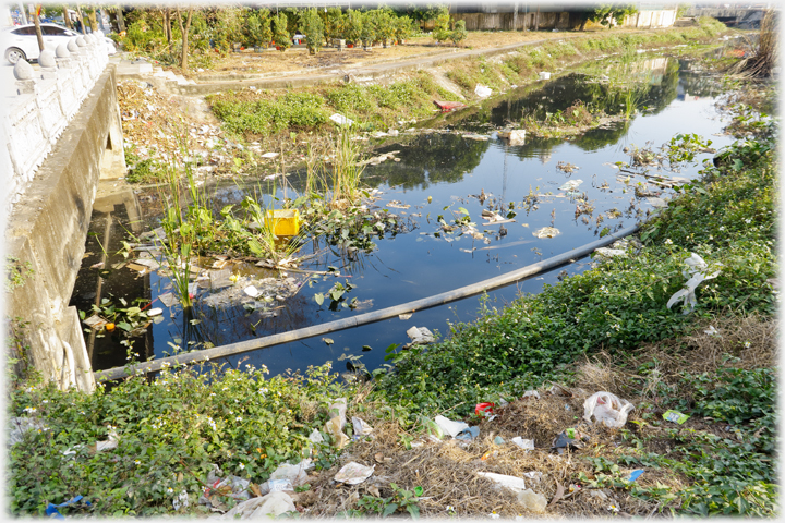 Stream with much litter in and around it.