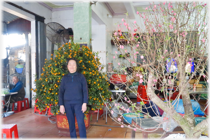 Ba Hai standing in her bar at new year with potted plumb and kummquat trees.