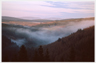 Mist creeping up the Ae valley between the trees.