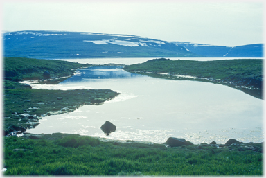 Island pond.