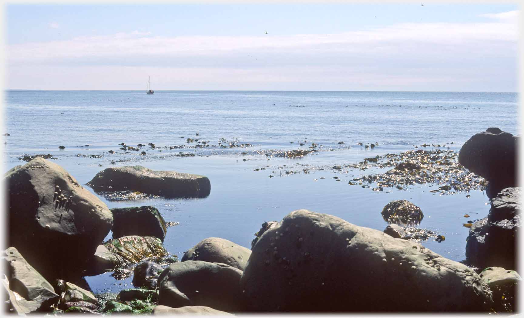 Rocks at water's edge, yacht in distance.